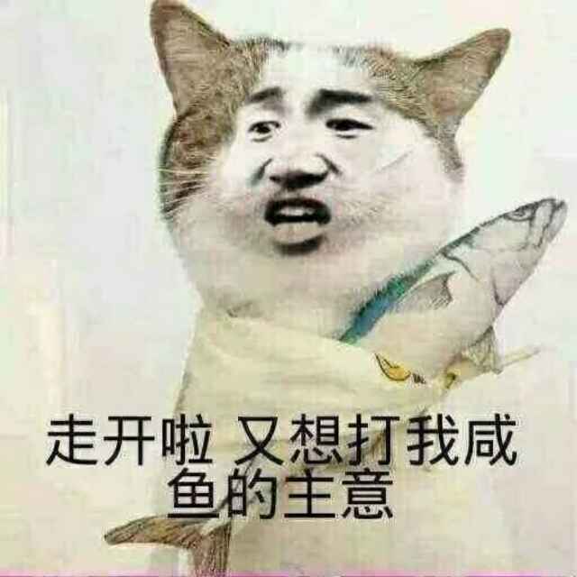 张怡