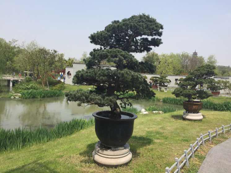 牛晨光