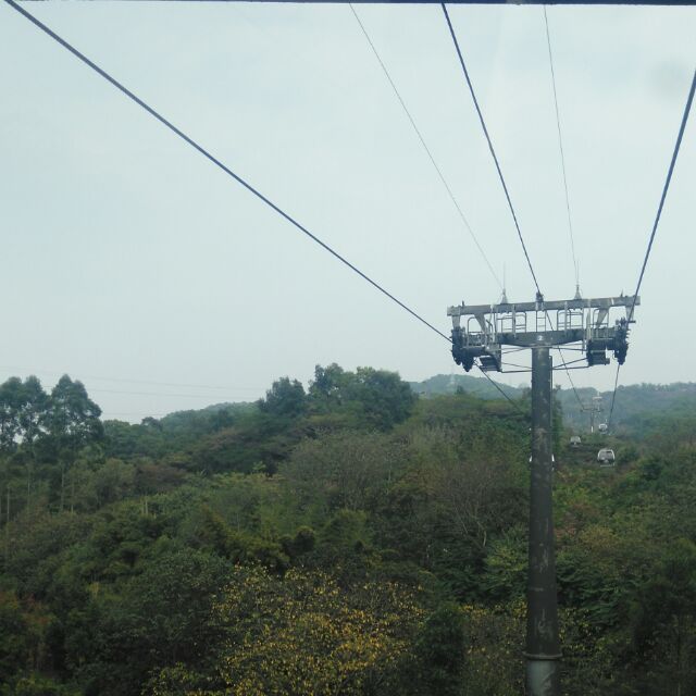 雷文林