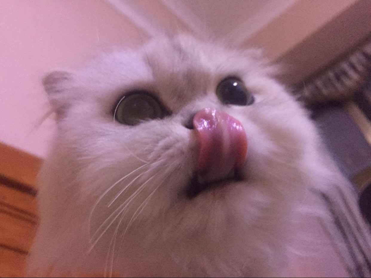 徐健明