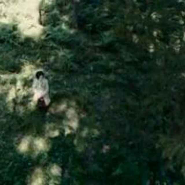 张成辉