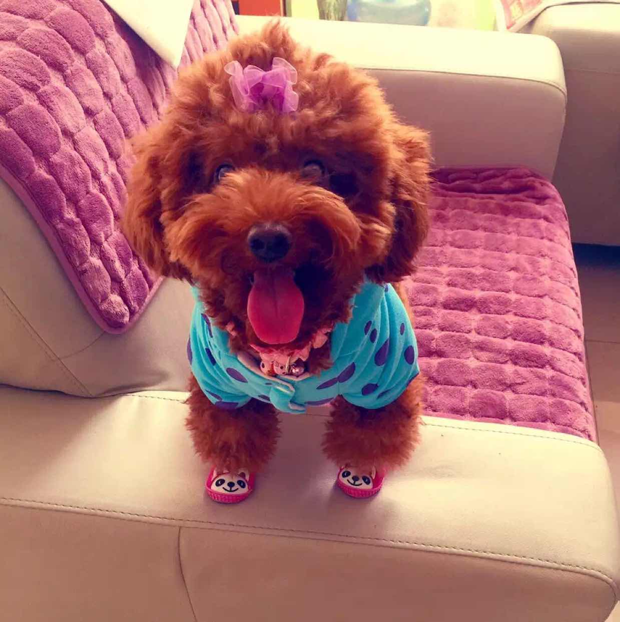 何立业
