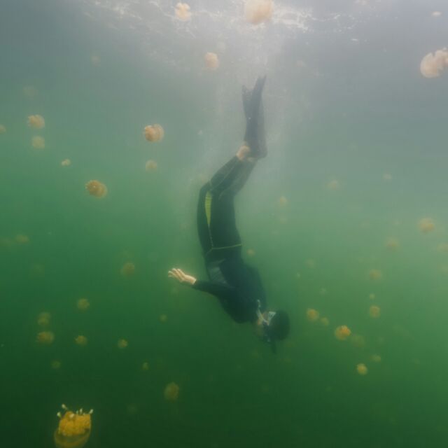 赫荣欣