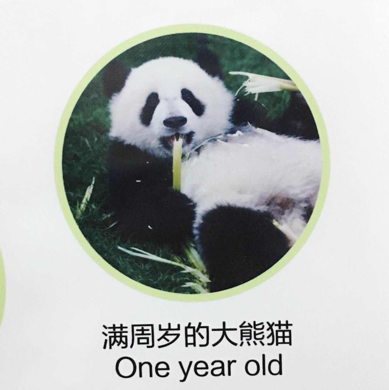 谢帅