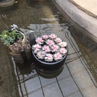 黄继华
