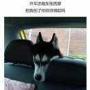 廖怡鹏