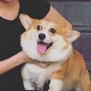 唐易青