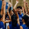 张登宇