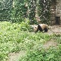 侯鉴刚