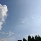 姜烨龙